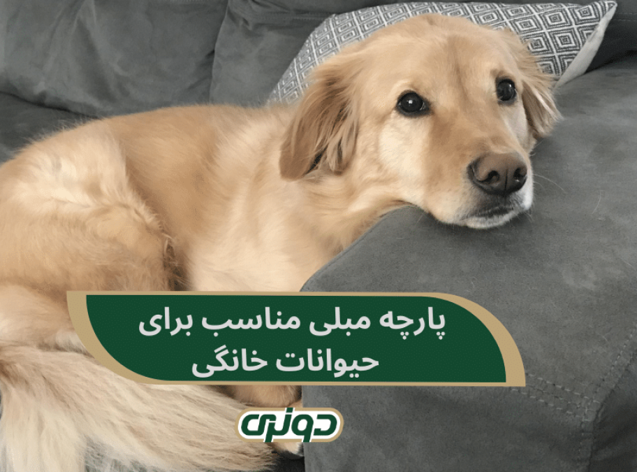 پارچه مبلی مناسب برای حیوانات خانگی